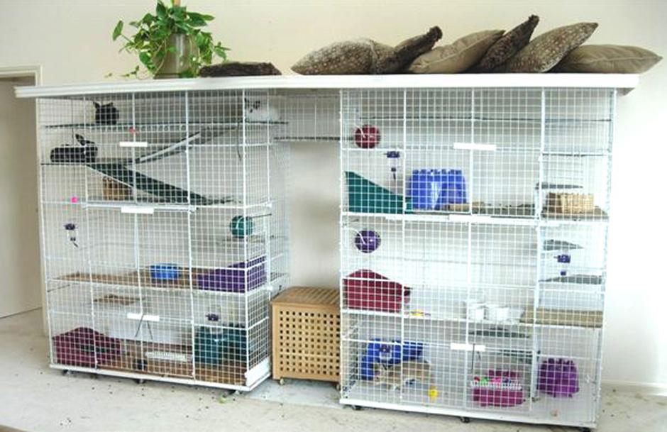 We recommend that you either build a condo (see below), use and x pen or other enclosure, or bunny-proof one room of your house (ideally a family or rec room where the bunny can act as part of the