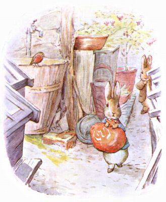 cherry-stones; they winked at Peter Rabbit and little