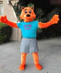 com -- Cool Cat Products are Made in the United States of