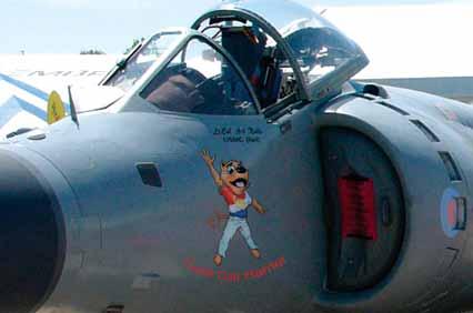 Recuse The Cool Cat Harrier Jet