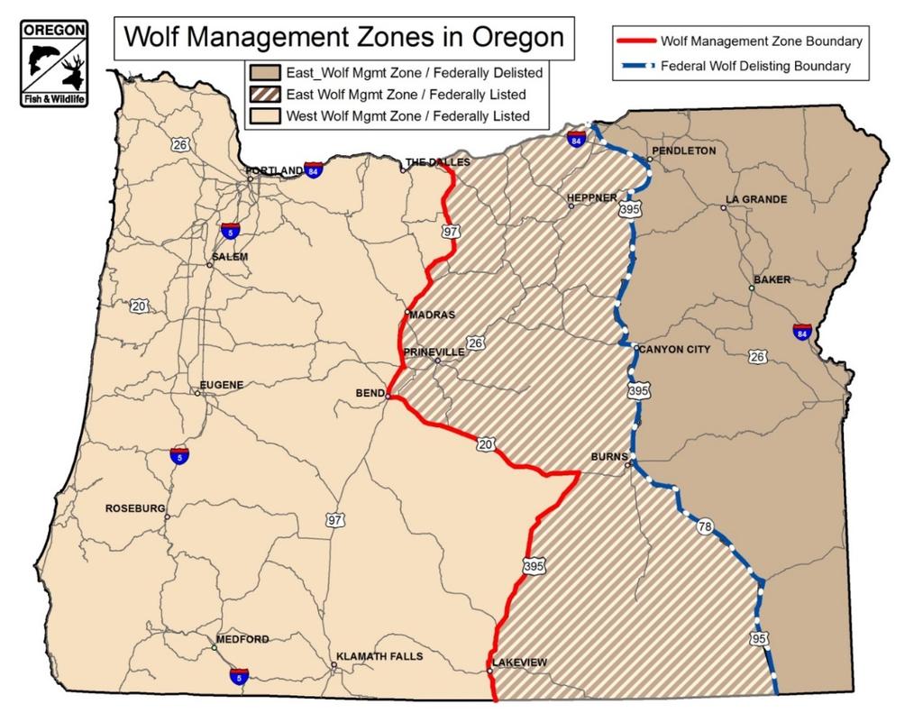 OREGON WOLF PROGRAM OVERVIEW Regulatory Status Federal Status: Wolves occurring west of Oregon Highways 395/78/95 continue to be federally protected as endangered under the ESA (Figure 1).