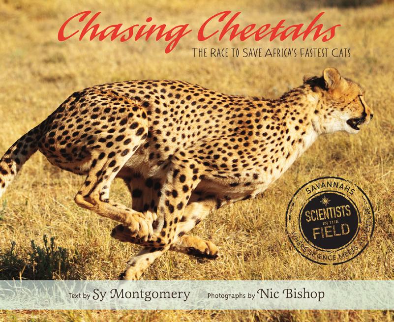 Where Science Meets Adventure D i s c u s s i o n a n d a c t i v i t y G u i d e About the Series Chasing Cheetahs is part of the award-winning Scientists in the Field series, which began in 1999.