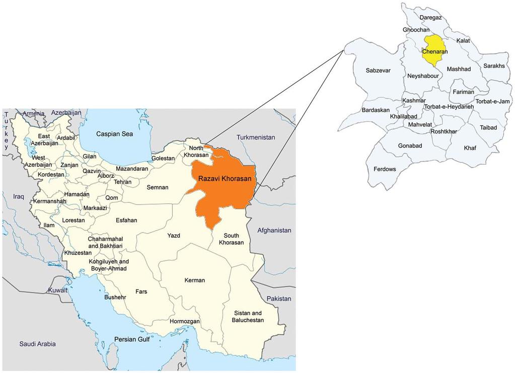Figure 1. Map of Iran. Razavi Khorasan Province is indicated by orange. The study area, Chenaran County, is highlighted with yellow. Based on the map of Razavi Khorasan Province at http://en.