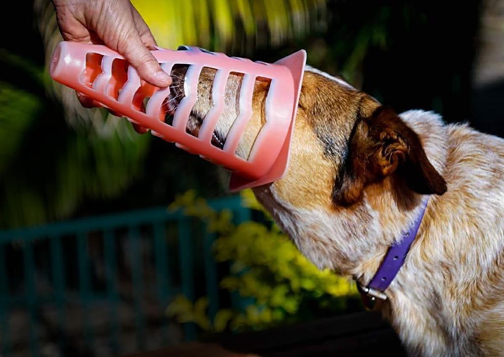 GAME 1 CONE GAME To play this game, all you need is a plastic cone or cup that your dog can fit their muzzle in and their