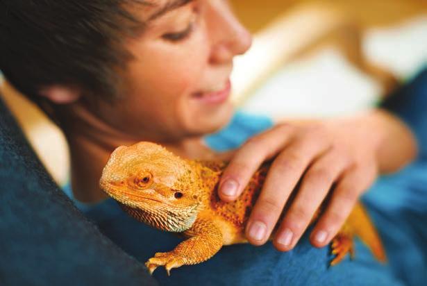 REPTILE cold-blooded best friends fill us up with love.