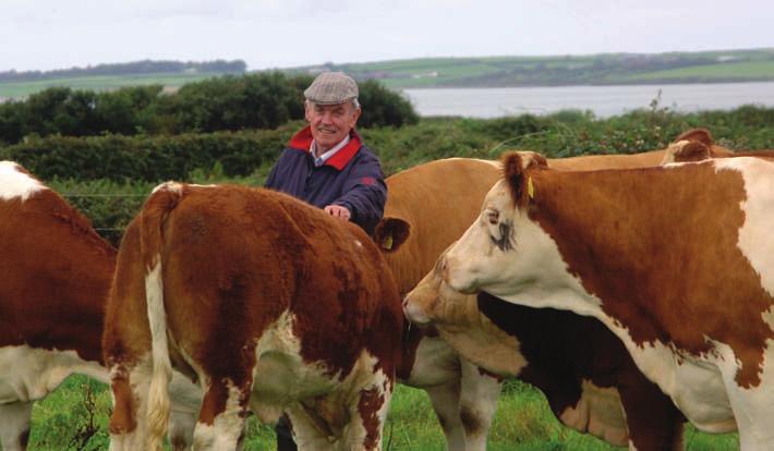 3 SUSTAINABLE CONTROL OF PARASITES AT HOUSING Housing of cattle is a well-defined management operation on the majority of livestock farms in Ireland and it provides a good monitoring opportunity to