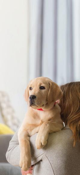 CARE GUIDE PUPPY To learn more about the PURINA PRO PLAN range visit