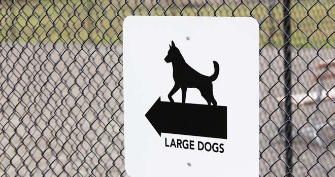 WHAT ARE THE REQUIREMENTS? What are the essential elements of a dog park? As in real estate, so with dog parks: location, location, location.