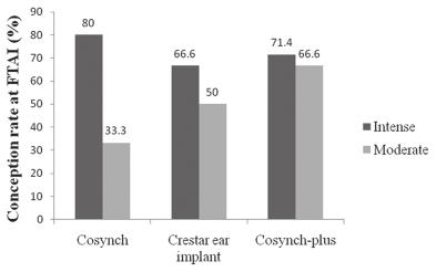 Figure-1: Comparative conception rate depending on intensity of estrus following different estrous synchronization protocols in buffalo.