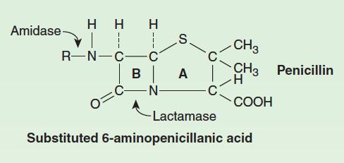 Beta lactam antibiotics Basic chemical structure: beta
