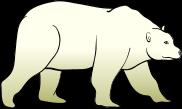 walruses, small rodents, muskox, shell