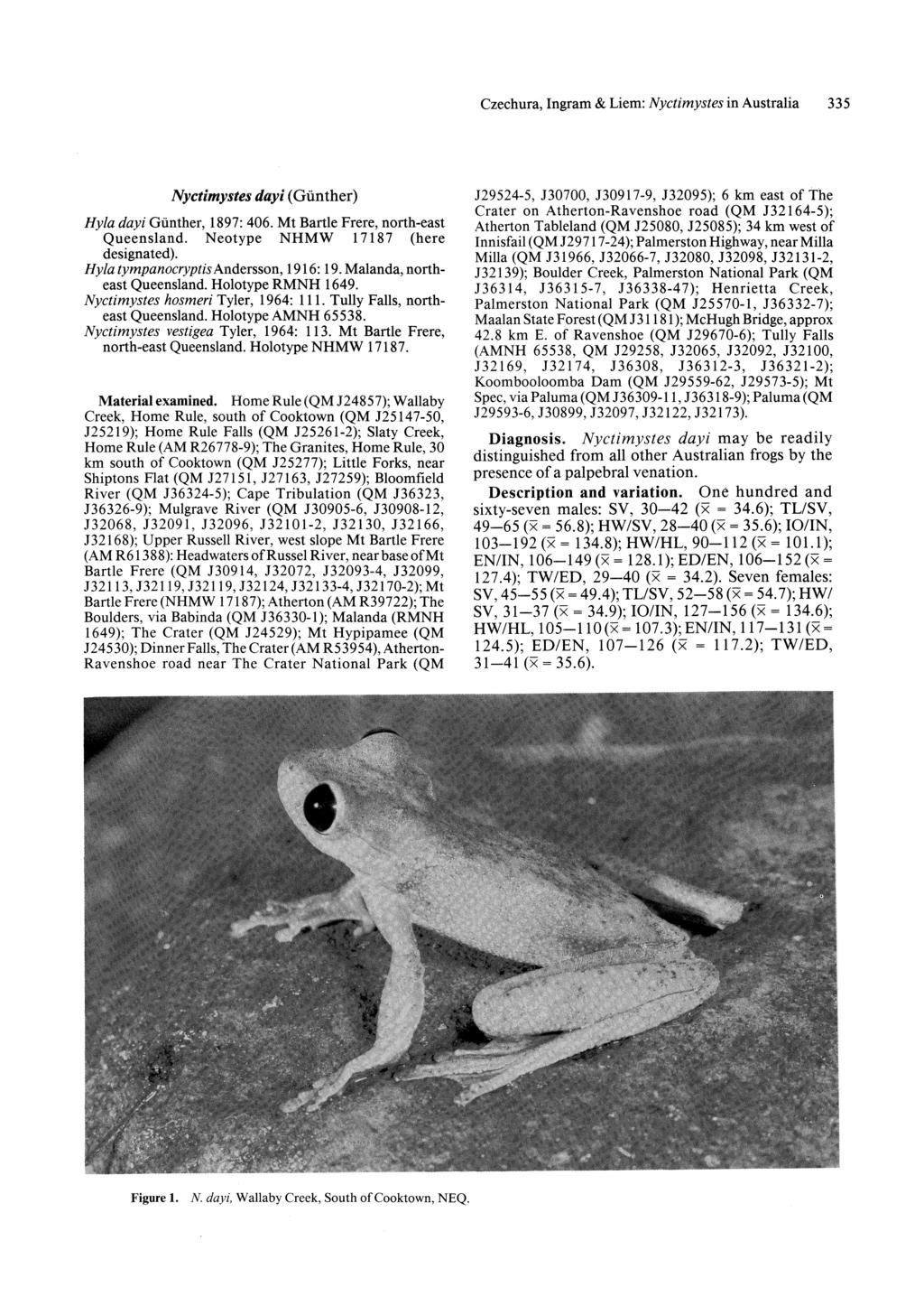 Czechura, Ingram & Liem: Nyctimystes in Australia 335 Nyctimystes day; (Giinther) Hyla dayi Giinther, 1897: 406. Mt Bartle Frere, north-east Queensland. N eotype NHMW 17187 (here designated).
