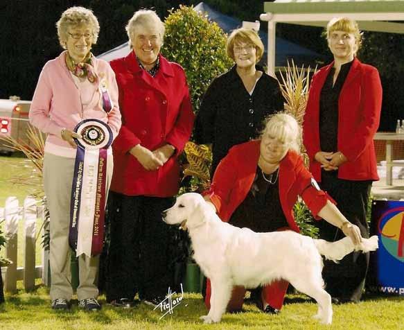 Hodge is co-owned by Darlene Petterwood. Champion Puppy in Show. 2011 8th Golden Retriever National Ashiya No Apologies.