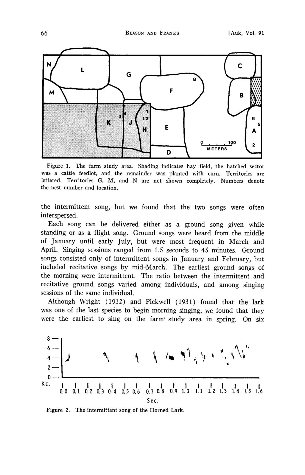 66 BEASON ^ D FRANKS [Auk, Vol. 91 Figure 1. The farm study area. Shading indicates hay field, the hatched sector was a cattle feedlot, and the remainder was planted with corn.