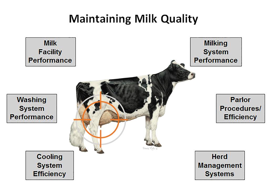 Milk Quality In order to produce large volumes of quality milk, clean, dry, comfortable housing is needed as well as good milking hygiene and properly functioning milking equipment.