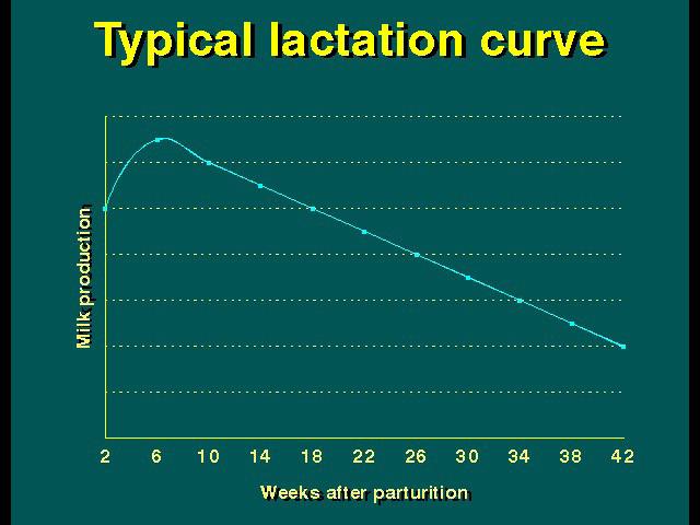 Lactation Curve Often a cow s lactation cycle is referred to in stages: early lactation, mid lactation, late lactation and the dry period.