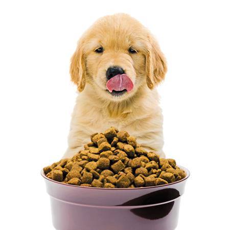 Published on dvm360.com Home > Pet food facts and fiction Pet food facts and fiction Can t stomach the dizzying array of pet food trends, fads and marketing tactics inundating the market?