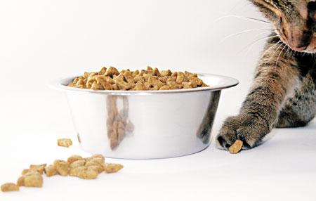 pet foods is to thoroughly investigate the products we re recommending. I hope this article will help you gain the information and expertise you need to recommend diets with confidence.