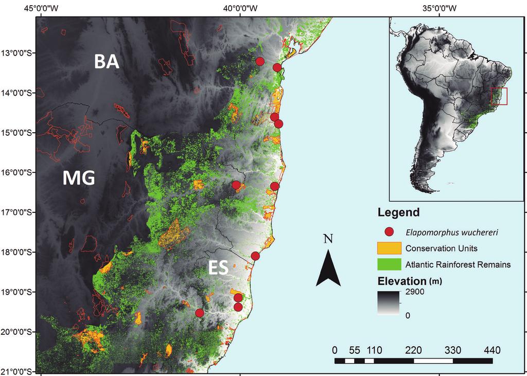 et al. km Figure 4. Geographic distribution records of Elapomorphus wuchereri. Orange patches are protected areas within remains of the Atlantic Rainforest.