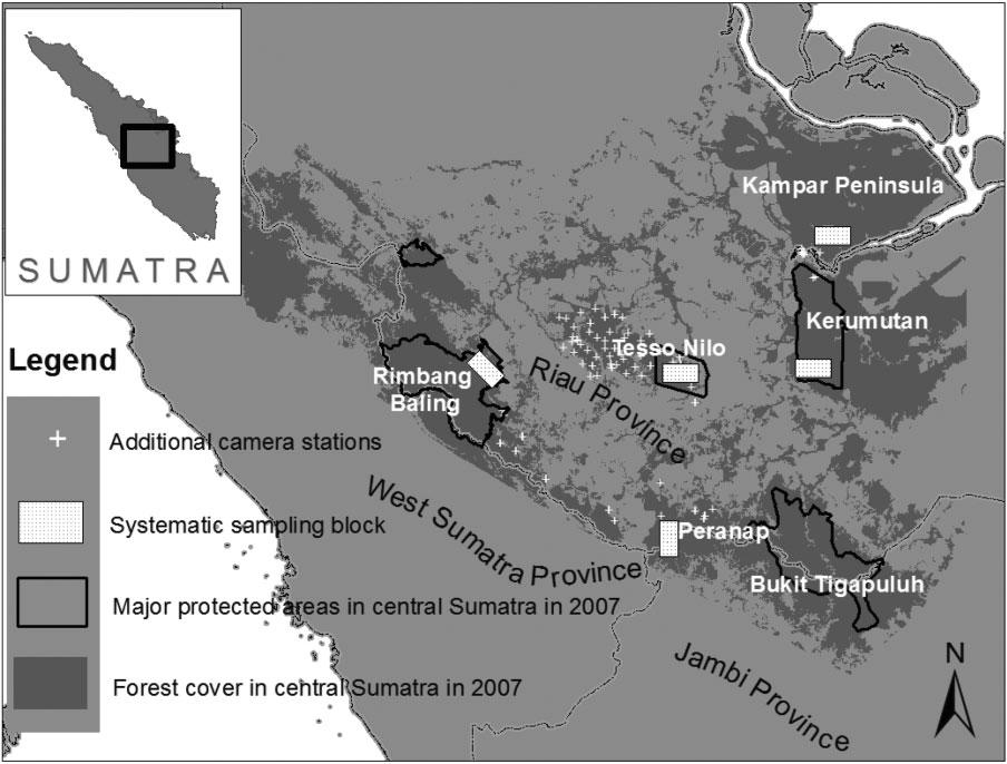 Cat coexistence ecology in Sumatra S. Sunarto et al. study on occupancy of Sunda clouded leopard N. diardi and Asiatic golden cat Catopuma temminckii (Haidir et al.