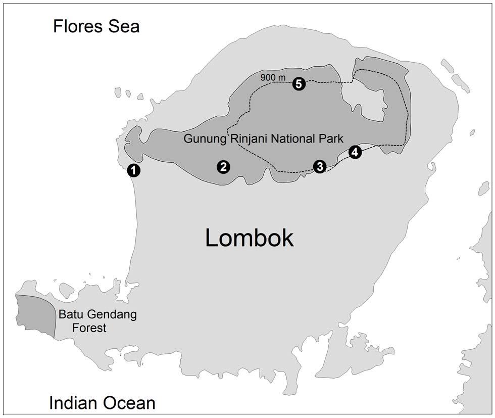 Figure 5. Map of Lombok showing localities where Otus jolandae has been recorded. Gunung Rinjani National Park and Batu Gendang Forest are indicated by dark shade.