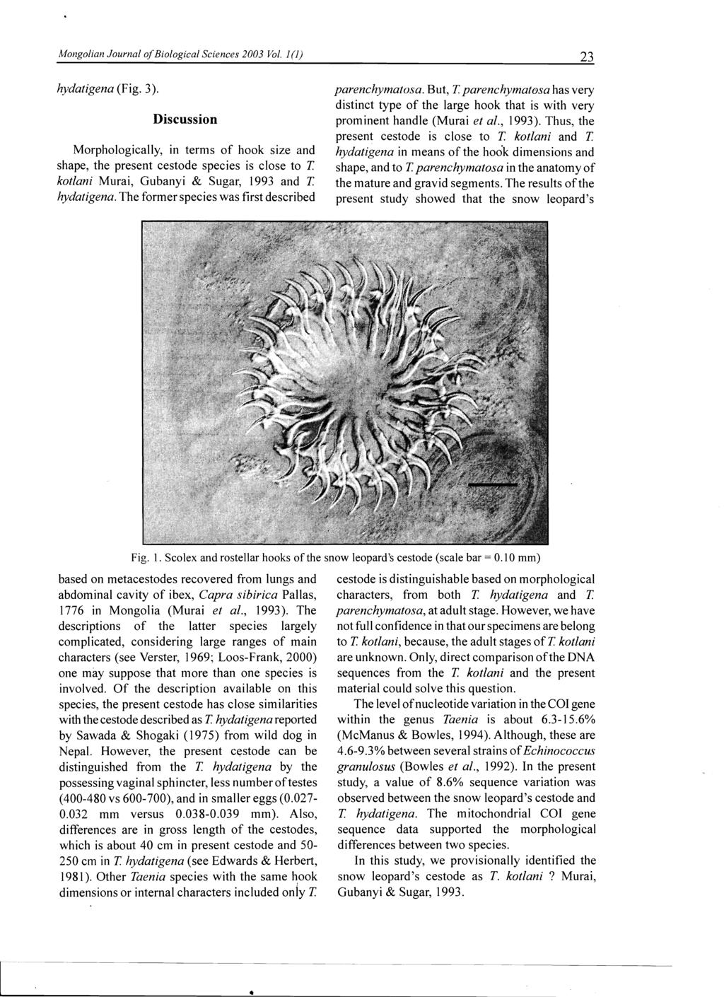 Mongolian Journal ofbiological Sciences 2003 Vol. l(1) 23 hydatigena (Fig. 3).