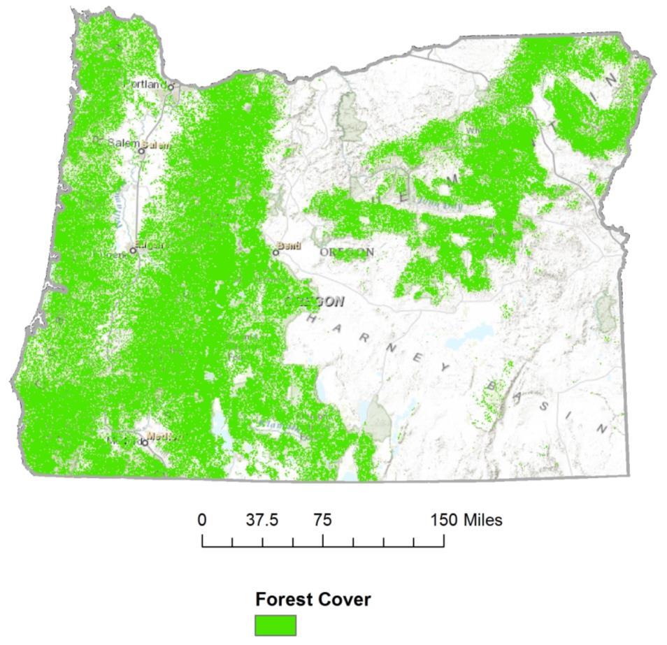 Figure. Distribution of forested land cover types, generalized to a km resolution, in Oregon. Data obtained from the National Land Cover database.