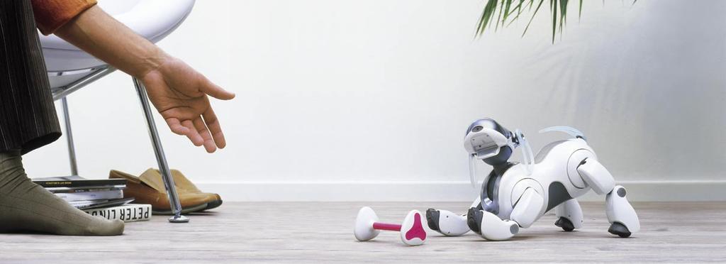 Imagine. The fascinating AIBO concept is firmly established in the ambitious project from Sony to create intelligent companions that entertain people.