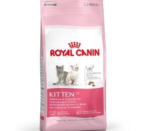 Diet Kittens are fed on Royal Canin Kitten for kittens. I always have a bowl of dried food next to their water bowl. Provide fresh water always. In addition I give them once or twice a day fresh meat.