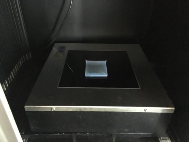 Transfer the gel in its tray to the UV-viewing device.