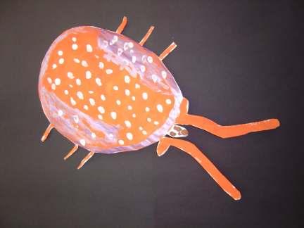 Apple Rust Mite by Simran Shah Did you know that there is an insect that eats mold? The Apple Rust Mite does. They are bugs that are wide from the front and skinny from the back.