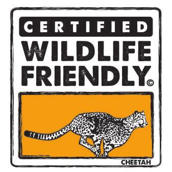 Cheetah Conservation Fund Did you Know? One of the greatest threats to the cheetah and other predators in the wild is humanwildlife conflict.