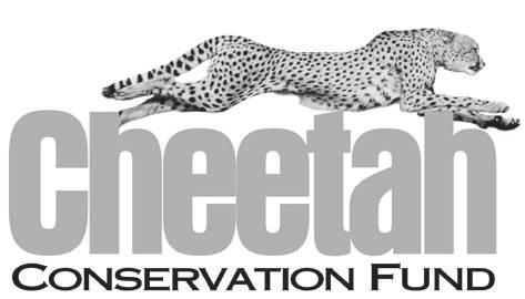 Cheetah Mask Template MATERIALS NEEDED: Cheetah mask