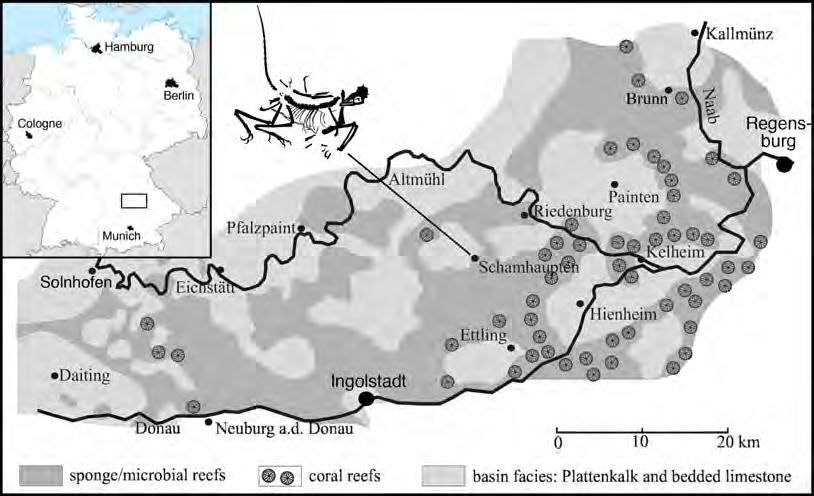 Figure 1 Geographic position of the locality of the 12th specimen of Archaeopteryx, the village of Schamhaupten, within the palaeo-archipelago of Solnhofen. Modified from Rauhut et al. (2017).