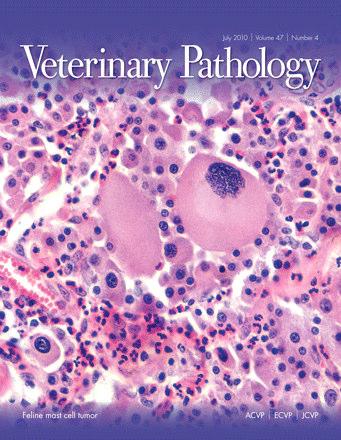 DESCRIPTIVE PATHOLOGY FOR JOURNALS AND TEXTBOOKS Probably the first descriptive pathology most of us read was that found in textbooks and technical journals while we were veterinary students or at