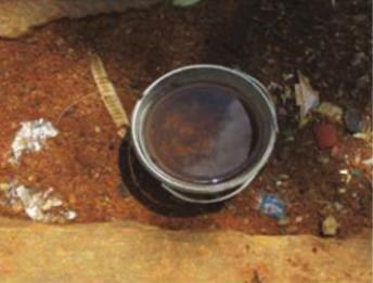Plastic containers and discarded tins have contributed to maximum number of dengue vector specimens. The number of Ae.