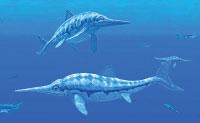 Everhart. Three Groups Paleontologists have sorted the prehistoric marine reptiles into three main groups. Thomas Miller Ichthyosaurr Ichthyosaurs. The first group was the ichthyosaurs.