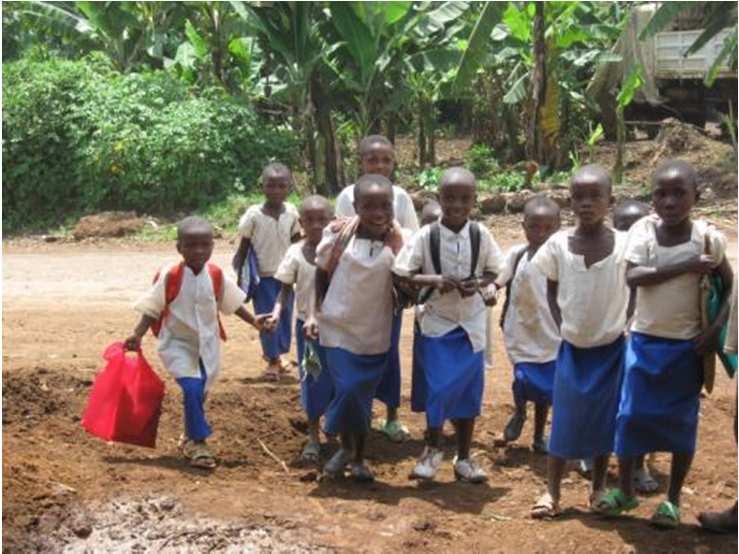 Sud-Kivu, DRC Principle motivation for cavy