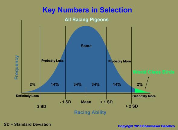 The Bell Curve And apart from this Rule of Ten, if you aren't selecting at least the top 16% you probably aren't selecting at all.