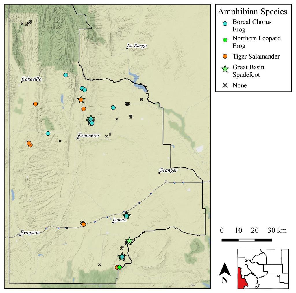 Figure 4. Locations of amphibians detected during visual encounter and nocturnal call surveys of the BLM Kemmerer Field Office (KFO) area (black outline) in 2014 2015.