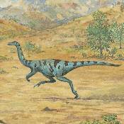 STRUTHIOMIMUS was one of the smartest and fastest dinosaurs that ever lived. With its long legs and agile feet, it could run at speeds of 30-50 mph (48-80 km/h).