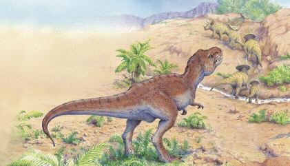 Tyrannosaurus rex tuh-ra-nuh-sawr-us REX Late Cretaceous North America, 68-65 million years ago Tyrannosaurus rex s enormous dagger-like teeth could crush bone.