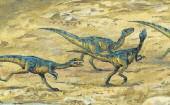 Coelophysis s short arms each had three clawed fingers. Its long tail was half of its total body length. This gave it balance as it walked or ran. Coelophysis was a ferocious pack hunter.