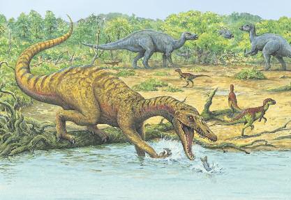 Baryonyx BAR-ee-on-iks Early Cretaceous Europe 120 million years ago HOW TO CATCH A FISH Baryonyx could wade into a river and hook fish with its thumb claws.