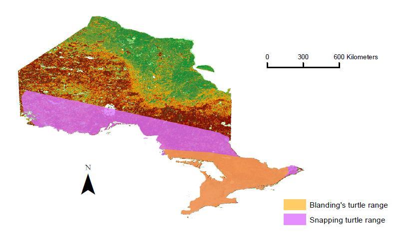 Figures Figure 1. Blanding s and Snapping turtle provincial ranges, Ontario, Canada. Forest > Water > Marsh > Peatland > Swamp > Pasture > Alvar > Rock > CB > Urban > Cropland Figure 2.