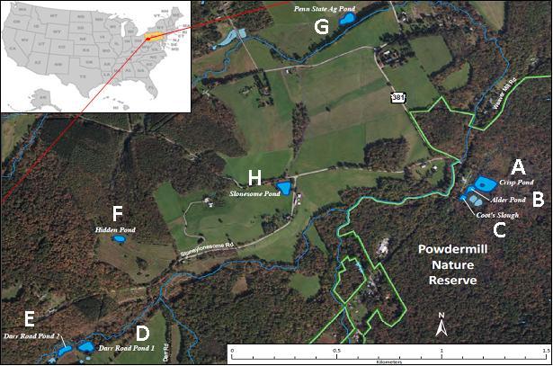Herpetological Conservation and Biology FIGURE 1. The study area in Westmoreland County, Rector, Pennsylvania, USA, depicting the eight artificial ponds (A-H) and other major landmarks.