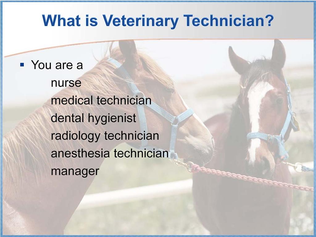 As a Veterinary Technician or VT you have a number of roles, some of them are listed on this slide. The VT s role can be as varied as the employment that they have.