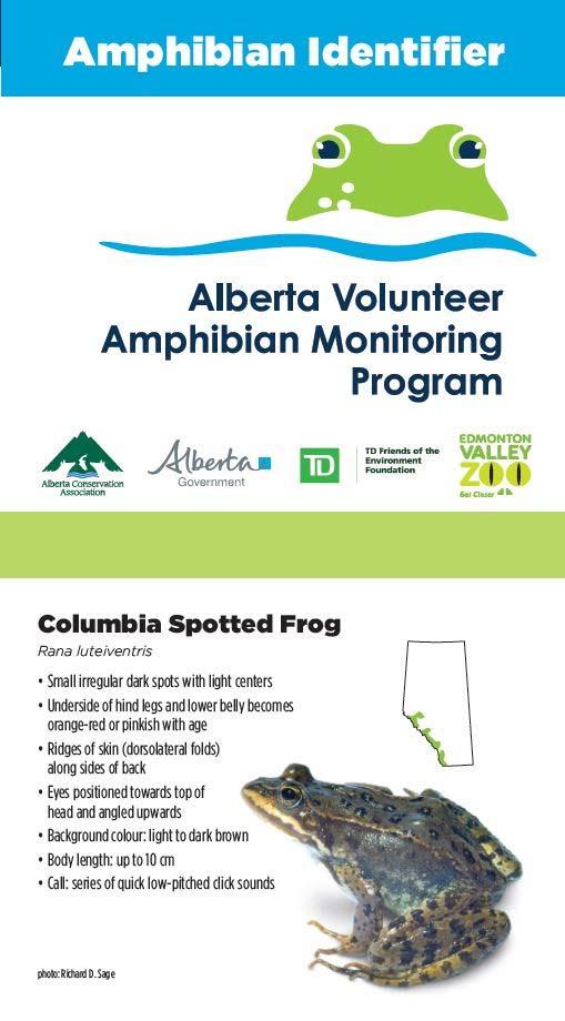 The Amphibian Identifier assists Alberta Volunteer Amphibian Monitoring Program
