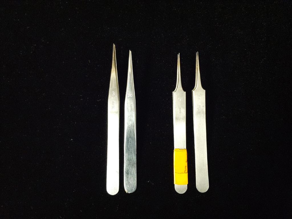 Figure 3. Examples of several pairs of microforceps that could be used for tracheal mite dissections.