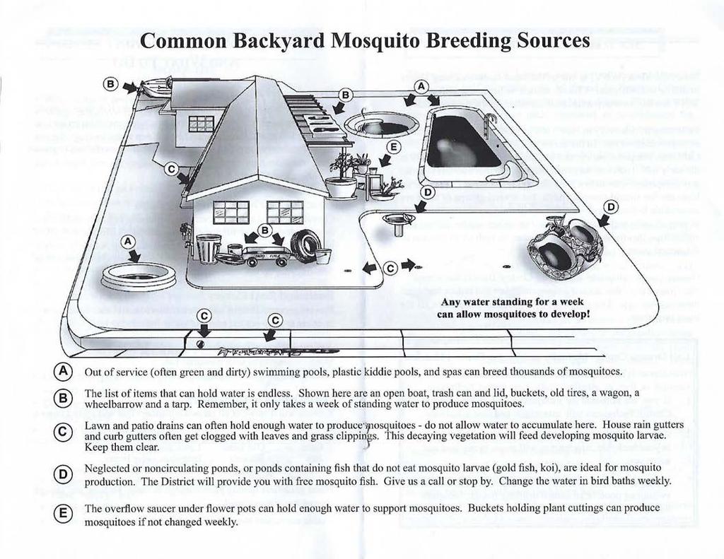 Common Backyard Mosquito Breeding Sources 1 ~ ' ' Any water standing for a week can allow mosquitoes to develop!